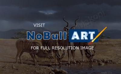 Wildlife And Nature Art - The Kudus - Oil On Canvas